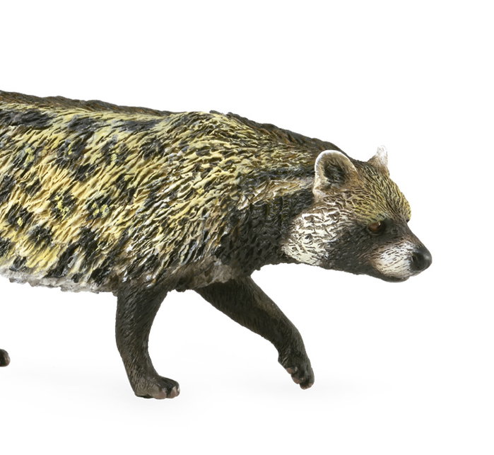 COLLECTA Civette Africaine - Taille M
