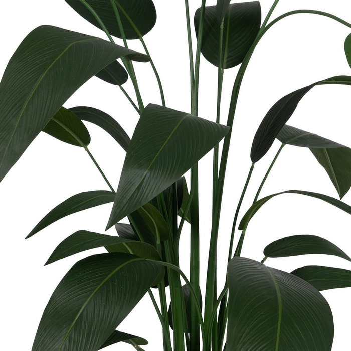 BigBuy Home Plante décorative Oiseau de paradis 50 x 50 x 220 cm BigBuy Home Plante décorative Oiseau de paradis 50 x 50 x 220 cm