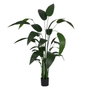 BigBuy Home Plante décorative Oiseau de paradis 50 x 50 x 220 cm