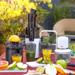 Livoo Hachoir Électrique sans Fil 200 W - Bol Verre 1,2 L, 4 Lames Acier, 2 Vitesses, Autonomie 25 Min - Blanc