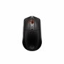 Souris SteelSeries 62523 Noir