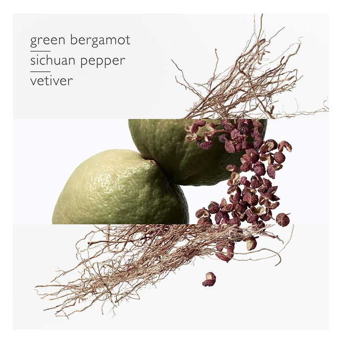 Hermès Terre d'Hermès Eau Intense Vétiver Eau de Parfum Vaporisateur 100 ml Hermès Terre d'Hermès Eau Intense Vétiver Eau de Parfum Vaporisateur 100 ml