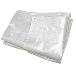 Riegolux Toldo Multiuso Blanc 4 x 5 m