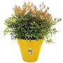 ELHO Pot de fleurs LOFT URBAN rond avec réserve d'eau et roulettes - Plastique percé - Ø38,5 x H35,3 cm - Ocre