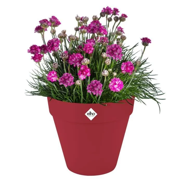 Elho Pot de fleurs avec réservoir d'eau et roulettes Loft Urban Rond, 48.5 x 45 cm, plastique 100% recyclé, rouge, pour extérieur Elho Pot de fleurs avec réservoir d'eau et roulettes Loft Urban Rond, 48.5 x 45 cm, plastique 100% recyclé, rouge, pour extérieur