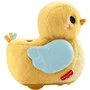 Fisher Price Canard Câlin 4 en 1 JMX99