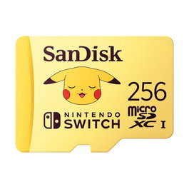 SanDisk microSDXC 256 Go UHS-I V30
