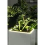Lechuza Canto Premium Colonne 40 Pot de fleur avec LED 40x40x76 cm Argent Métallisé Kit Complet Système d'irrigation Intégré Résistant aux UV et au Gel
