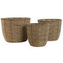 Set de pots de fleurs Home ESPRIT Marron Fibre Tropical 31 x 31 x 24 cm