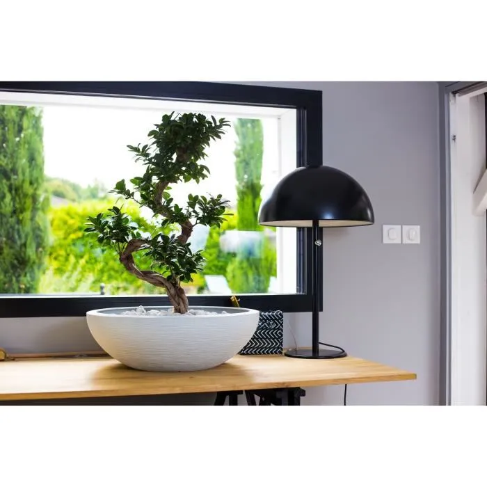 Eda Graphit UP - Pot de jardin ou vasque extérieure - Ø 59 x H 21 cm - 39 litres - Blanc cérusé