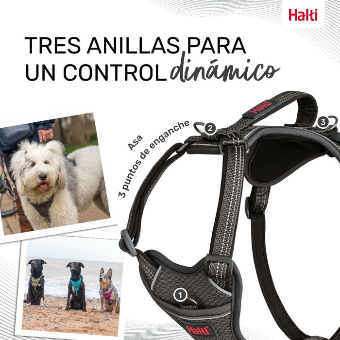 Harnais pour Chien Company of Animals Gris M 35-55 cm