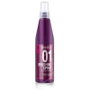 Salerm Brushing Protection Thermique 250 ml