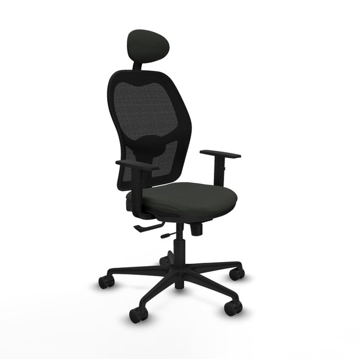 Piqueras Y Crespo Chaise de bureau Jorquera Sincro/Traslack Noir avec Accoudoirs 1D et Appui-tête Fixe Piqueras Y Crespo Chaise de bureau Jorquera Sincro/Traslack Noir avec Accoudoirs 1D et Appui-tête Fixe