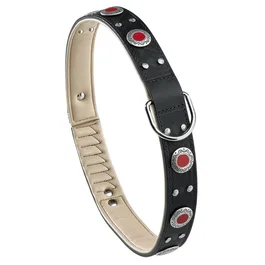 Ferplast Collier Giotto C35 76 Noir