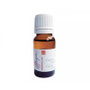 Thuya Liquide Primer 30ml