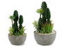 Ibergarden Centre de Table Cactus Rouge, Assortiment 2, 15x29x15cm, Plastique et Céramique, Vert/Gris/Blanc (Set de 6)
