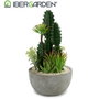 Ibergarden Centre de Table Cactus Rouge, Assortiment 2, 15x29x15cm, Plastique et Céramique, Vert/Gris/Blanc (Set de 6)
