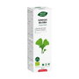 INTERSA Phytobiopole Ginkgo Biloba Bio 50 ml