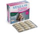 DERBOS Mensulan Fémina 60 capsules