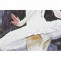 DKD Home Decor Toile Pin Danseuse Classique 40 x 1,8 x 60 cm