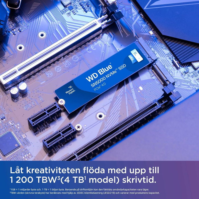 Disque dur Western Digital WDS100T4B0E 1 TB SSD