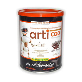 Pinisan Articao Saveur Chocolat 300 g