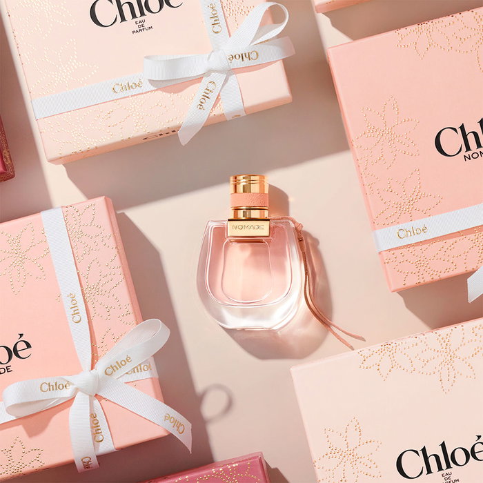Chloé Nomade Étui Nomade 3 pièces