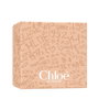 Chloé Nomade Étui Nomade 3 pièces