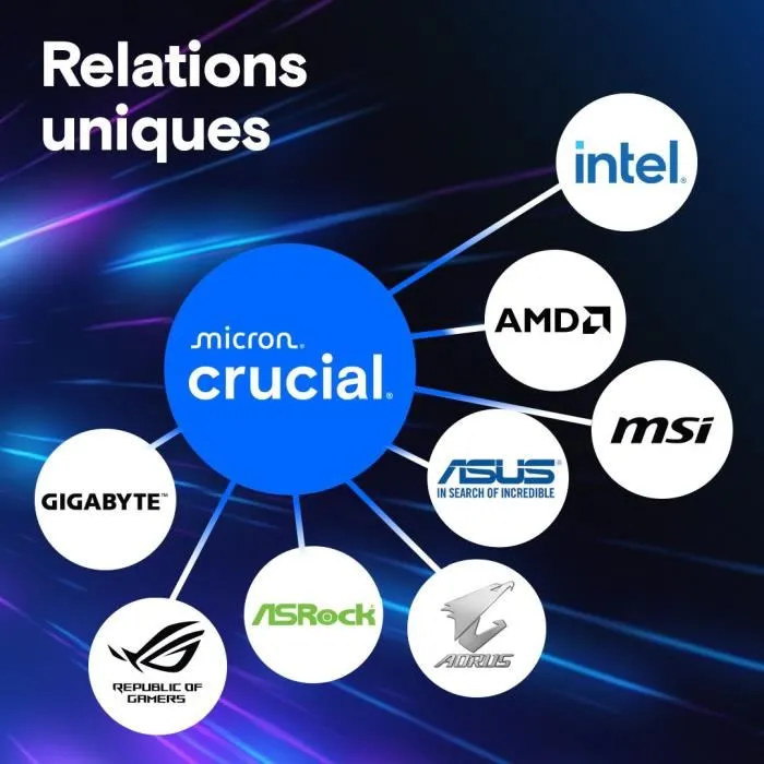 Mémoire RAM Crucial CP2K24G56C46U5 DDR5 SDRAM DDR5 48 GB
