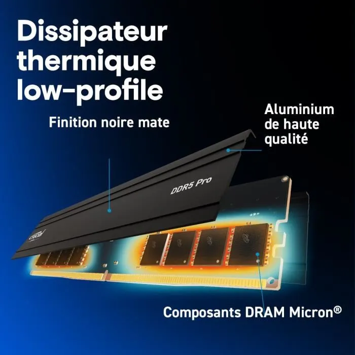 Mémoire RAM Crucial CP2K24G56C46U5 DDR5 SDRAM DDR5 48 GB