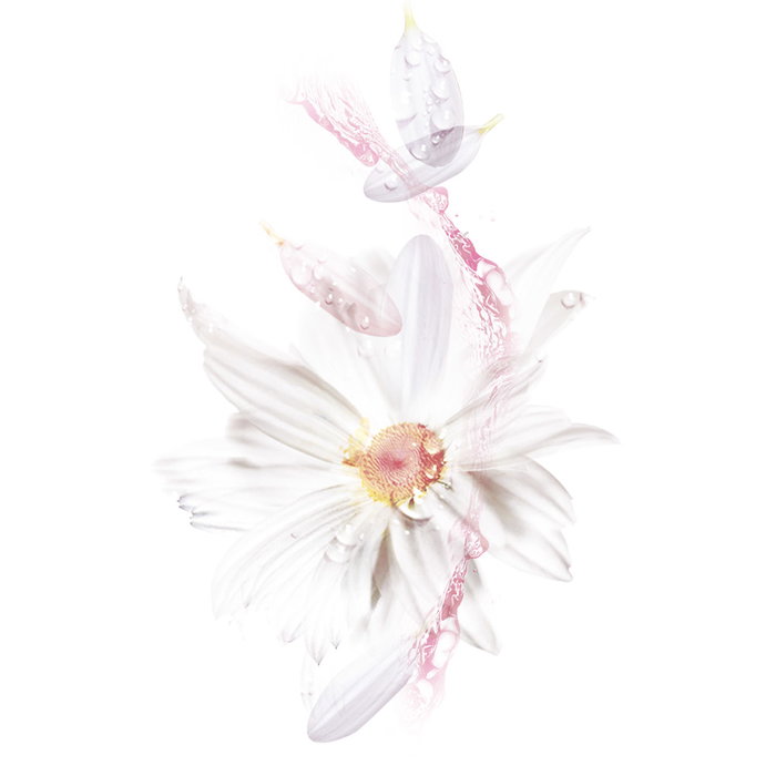 Garnier SKINACTIVE HYDRABOMB Masque Facial Hydratant Calmant pour Peaux Sèches-Sensibles, 1 Unité