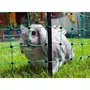 Kerbl - Filet de protection RabbitNet 25 m x 65 cm pour lapins et petits animaux - Double pointe - Vert