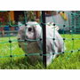 Kerbl Filet de protection RabbitNet 25 m x 65 cm Vert pour Lapin