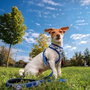 Cerdá Harnais pour chien Stitch T3S taille S/M