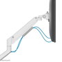 Neomounts DS70 - Bras support de bureau à mouvement complet pour écrans 17" à 35" (9 kg max) - Réglage hauteur, inclinaison, rotation - Compatible VESA 75x75/100x100 - Blanc