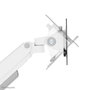 Neomounts DS70 - Bras support de bureau à mouvement complet pour écrans 17" à 35" (9 kg max) - Réglage hauteur, inclinaison, rotation - Compatible VESA 75x75/100x100 - Blanc
