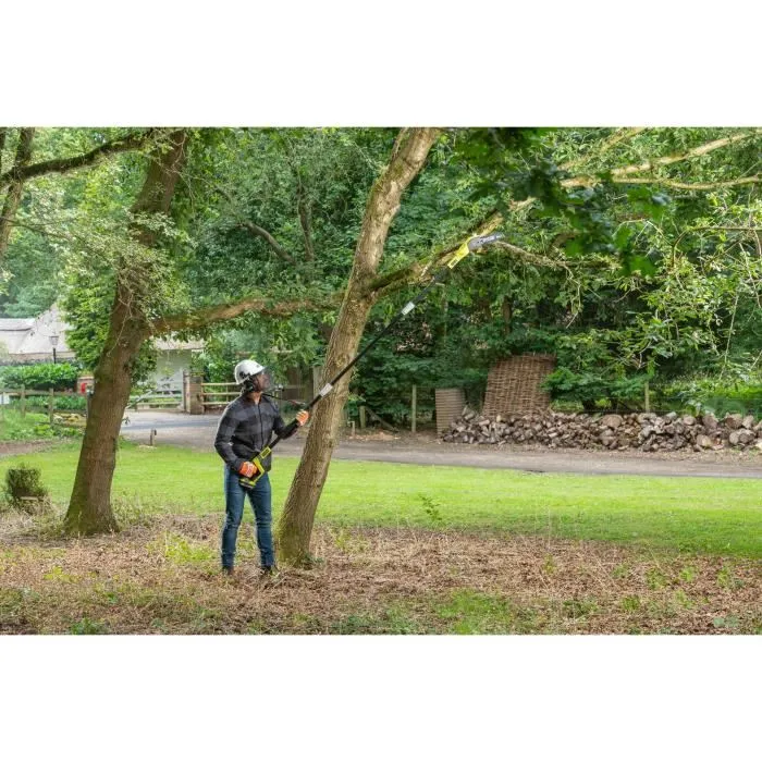 Ryobi Élagueur sur Perche 18V sans Fil RPP182020 avec Guide de 20 cm, Vitesse de 5.5 m/s, Tube d'Extension 95 cm, Batterie Lithium+ 2.0 Ah et Chargeur