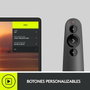 Logitech R500 Présentateur sans fil Graphite