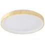 Plafonnier LED 36W CCT 3000-6000K Réglable avec Télécommande