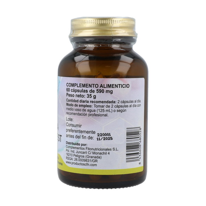 CFN GYMNEMA SYLVESTRE ST 60cap.