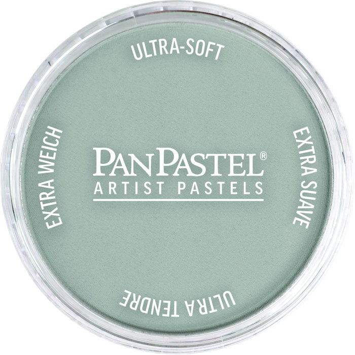 Panpastel 921.5 Étain Panpastel 921.5 Étain