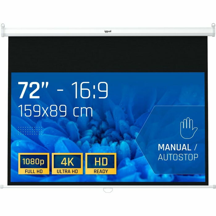 Récepteur TNT iggual IGG319673