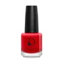 Diego Dalla Palma Makeup Nails Vernis à ongles Bloody Mary (225)