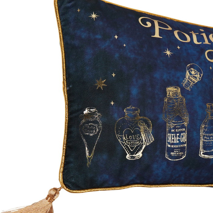 WIDDOP & CO Coussin Velvet Potions Class Harry Potter