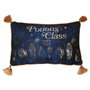 WIDDOP & CO Coussin Velvet Potions Class Harry Potter