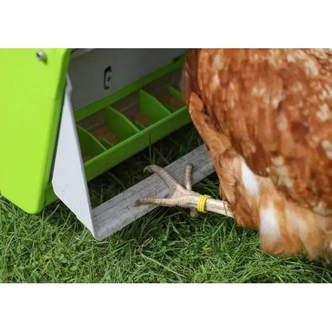 Kerbl SmartCoop - Nourrisseur Automatique pour Poules avec Volet de Protection Vert - Capacité 7.5 kg