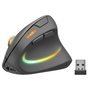 Speedlink PIAVO PRO Souris Verticale Sans Fil Rechargeable RGB