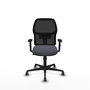 Chaise Alfera Synchro 4 positions tissu Gris foncé Maille Noir Base en nylon noir Accoudoir 1D Sans appui-tête Roulettes 65mm pour moquette