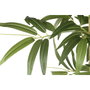 Home ESPRIT Plante décorative Bois Bambou Polyéthylène Oriental