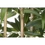 Home ESPRIT Plante décorative Bois Bambou Polyéthylène Oriental